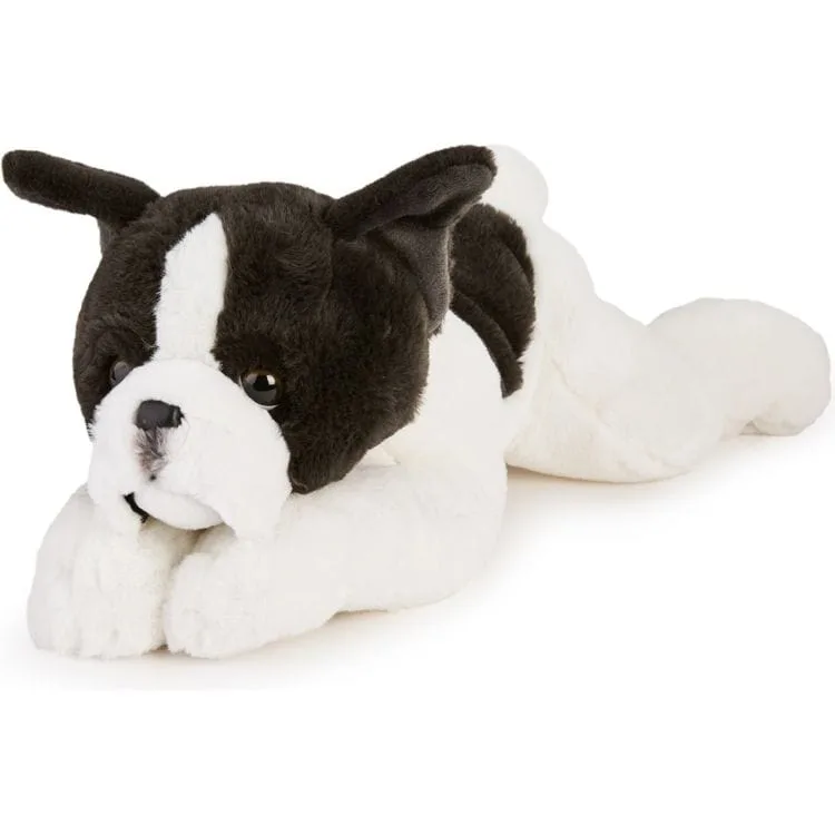 Unveiling the Frenchton: A Perfect Blend of French Bulldog and Boston Terrier