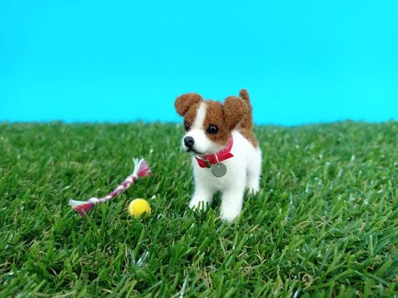 Unveiling the Mystery of Miniature Jack Russell Terriers: DNA-Recorded Puppies for Sale